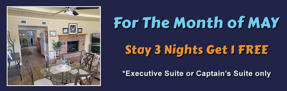 Buy 1 night get the second for $99